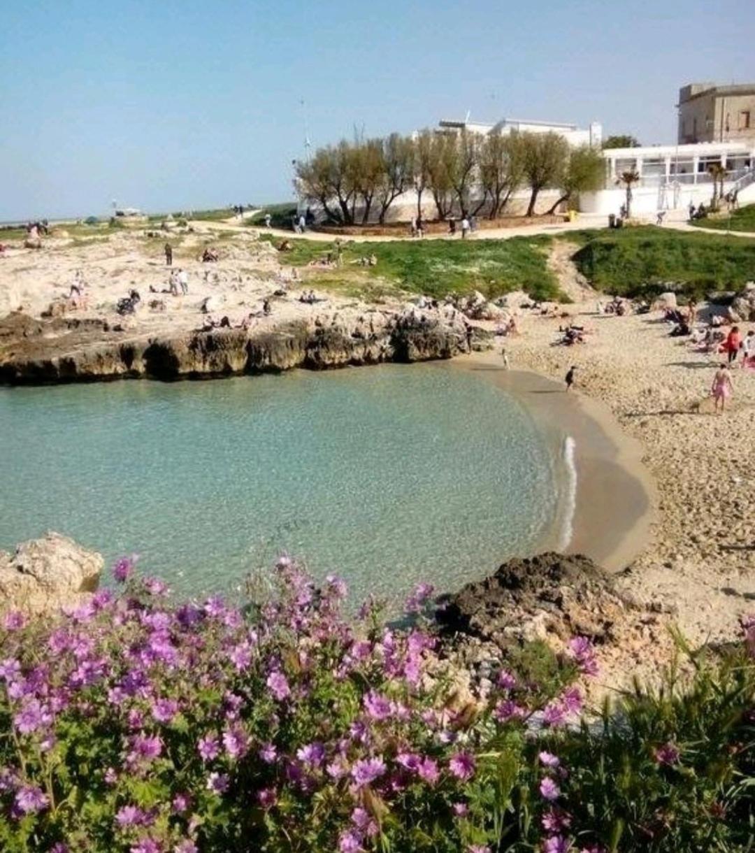 Da Luigi Locazioni Brevi Turistiche Acomodação com café da manhã Monopoli Exterior foto